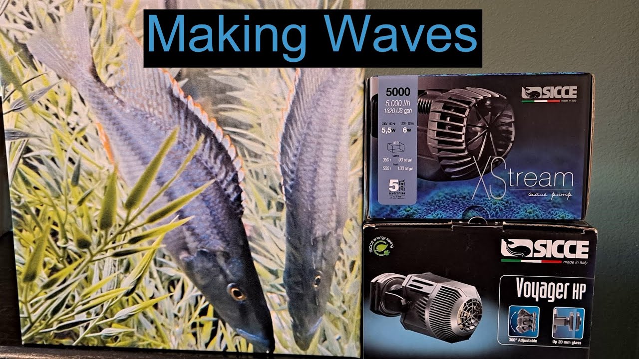 MAKING WAVES (SICCE XStream and Voyager HP 8)