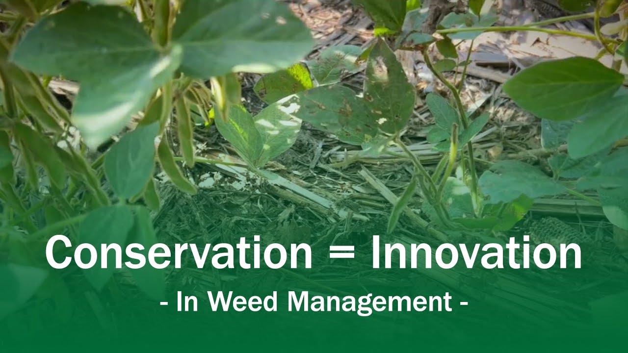 Conservation = Innovation In Weed Management Suppression and Resistance