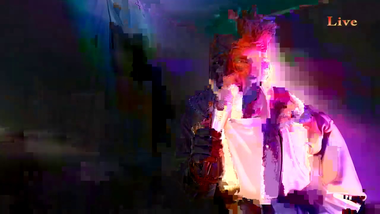 Terry D Live Performance