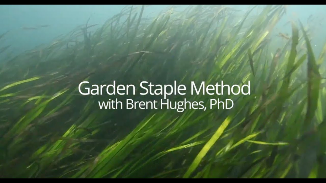 The Garden Staple Method with Brent Hughes, PhD