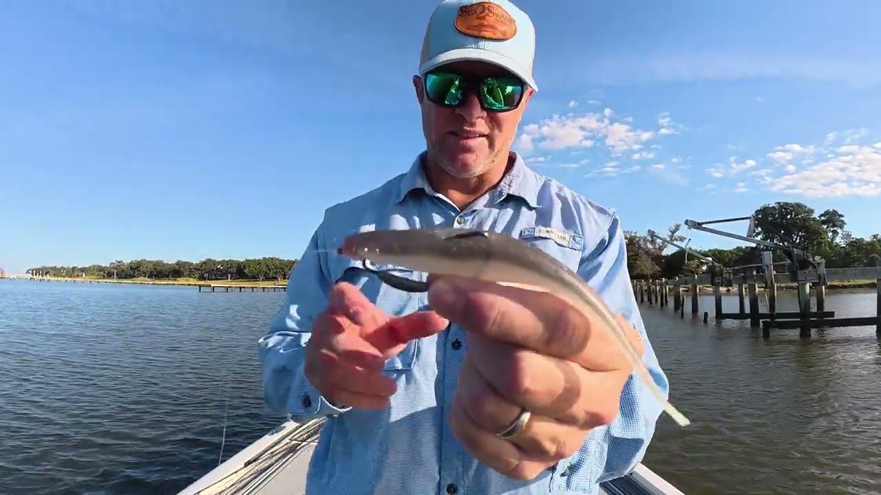 Shallow Reds