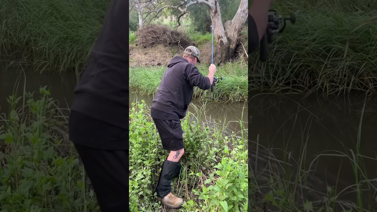 EEL FISHING VICTORIA, AUSTRALIA 🇦🇺 🎣 #eelfishing #australiannature #creekfishing #nature