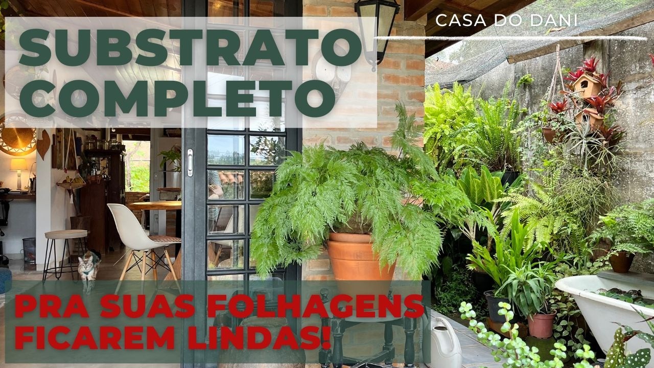COMO FAZER UM SUBSTRATO COMPLETO PRAS SUAS FOLHAGENS FICAREM LINDAS E UM TOUR PELAS PLANTAS DO DANI