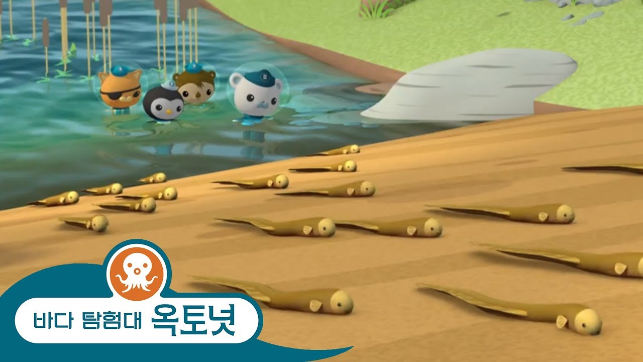 바다 탐험대 옥토넛 - 땅에서 사는 물고기 - 모음집