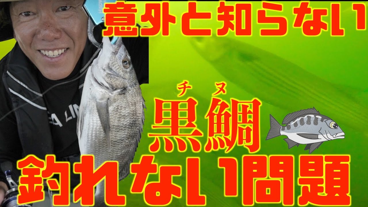 【黒鯛チヌ釣れない人必見】コレが答えです‼