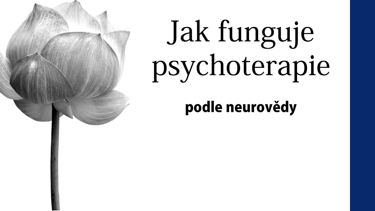 Jak funguje psychoterapie podle neurovědy