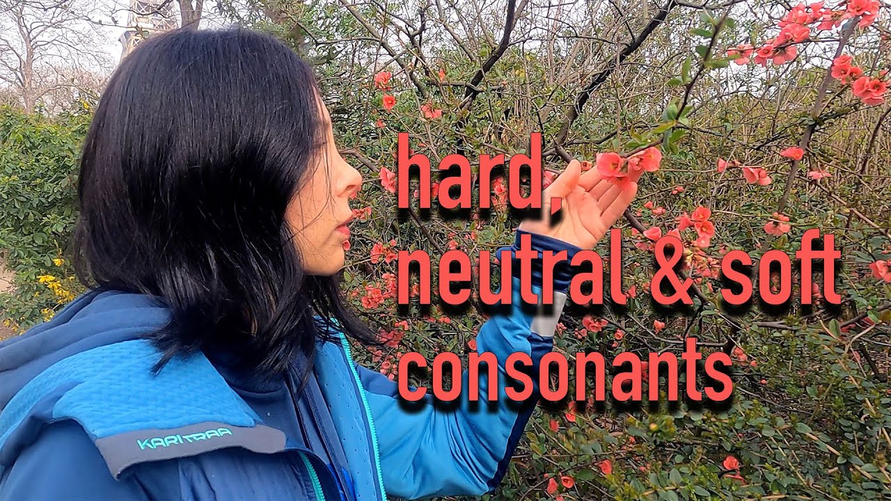 Czech consonants: hard, ambiguous & soft
