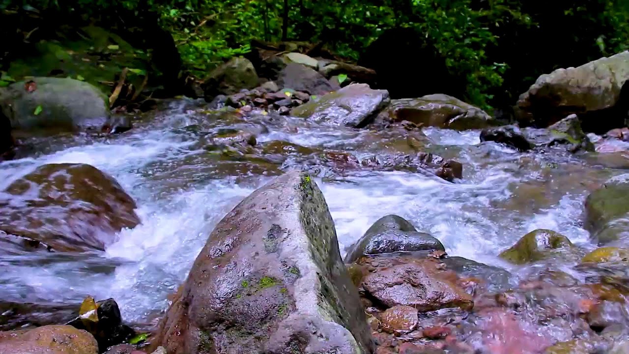 Natural Mountain River Flow | White Noise Water Sounds for Peaceful Sleep Tonight