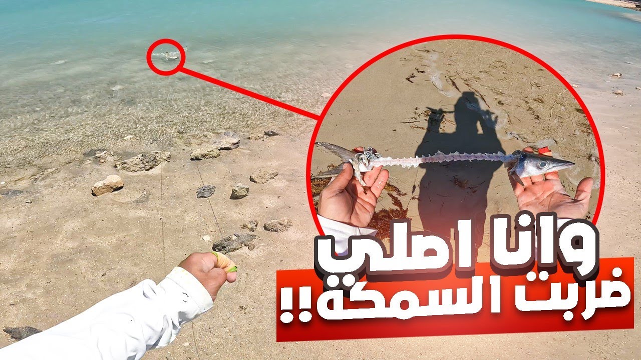 الهواء قوي ولكن الصيد موجود