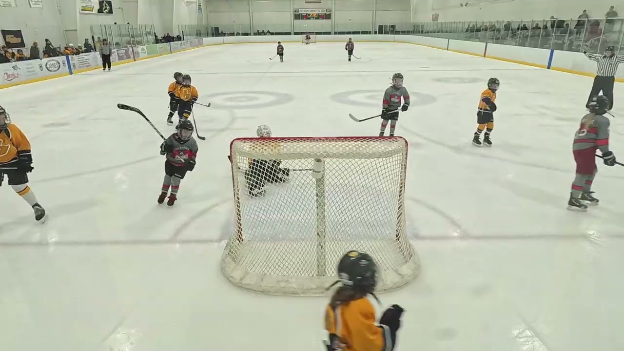 2026-02-20 Blades Squirt B (Goalie Highlights)