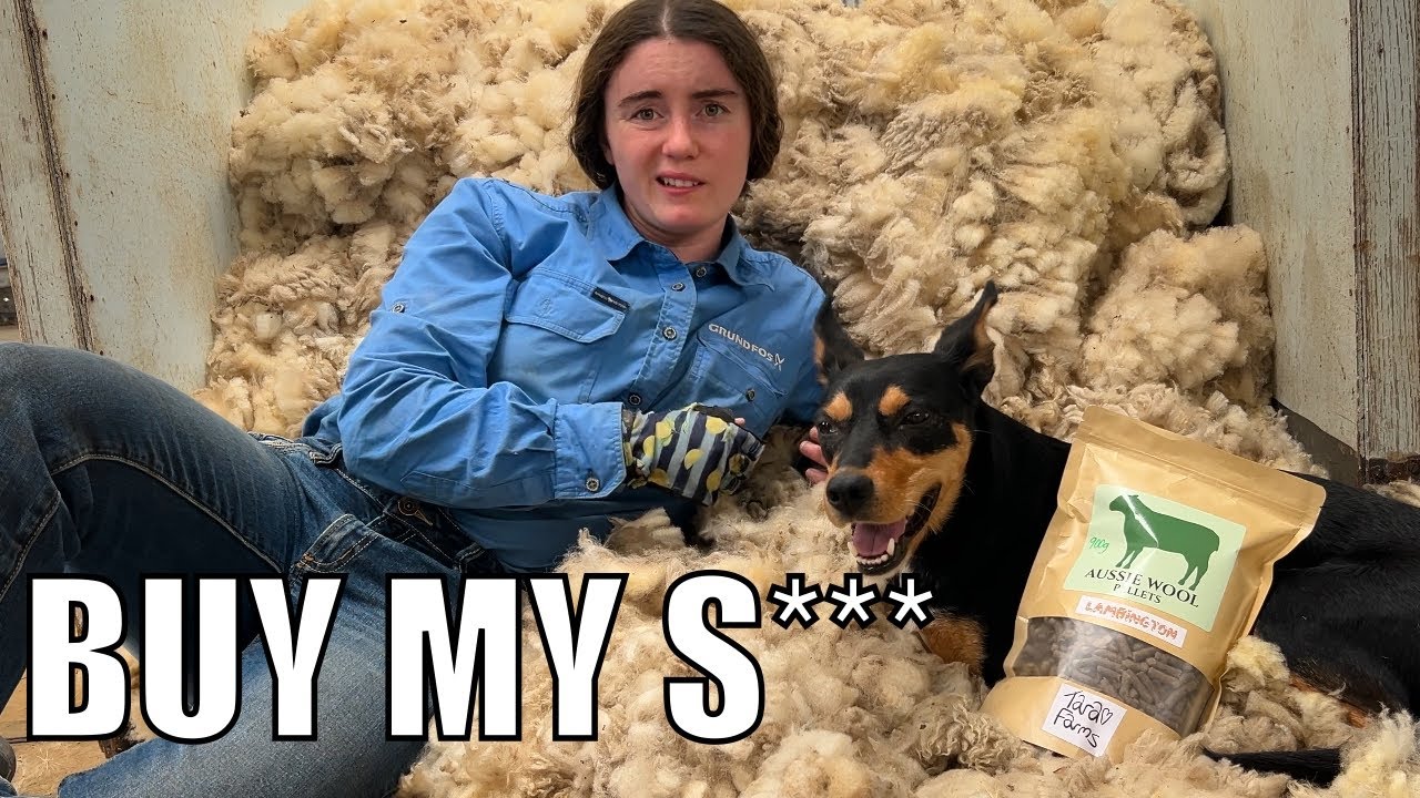 I Sheared, You Spread!