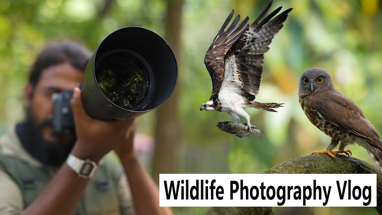 এই শীতে প্রথম পূর্বস্থলী  | Purbasthali Bird Sanctuary | Wildlife Photography Vlog 73 | #photography