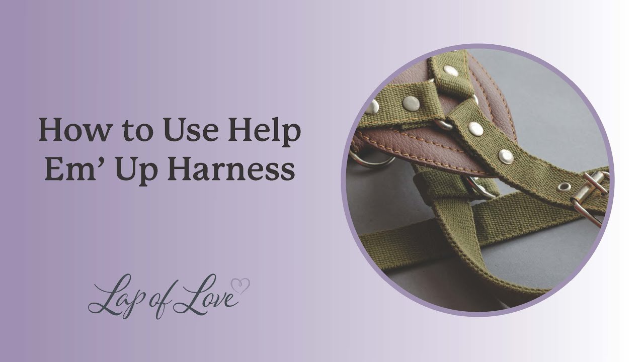 How to Use Help 'Em Up Harness