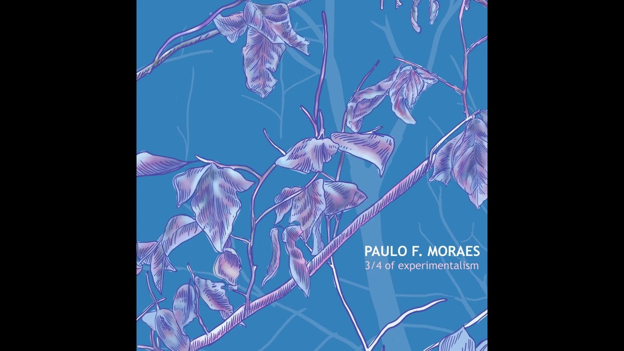 Paulo F. Moraes - Ten Years Old (3/4 of experimentalism)