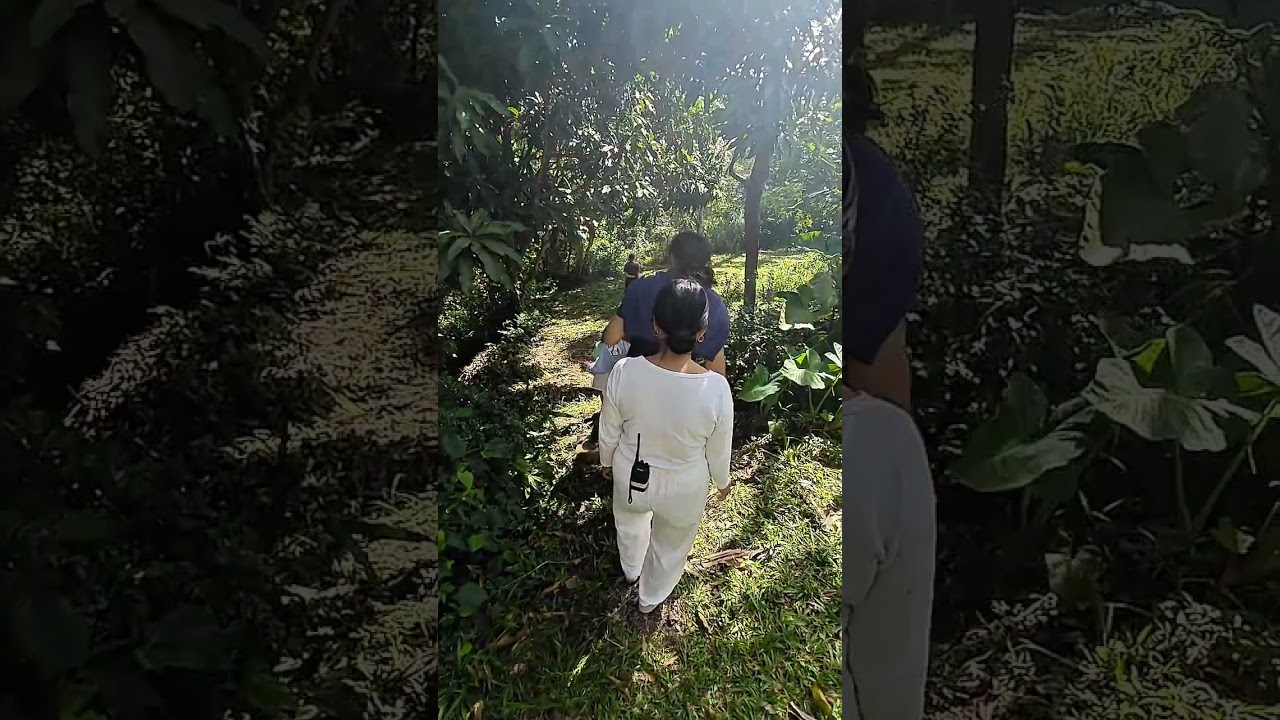 The sound of nature during our wellness retreat in Shanti Wellness Sanctuary. 