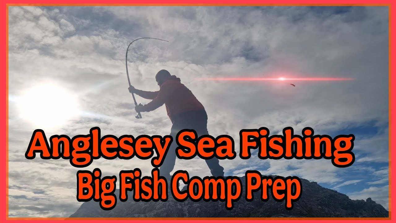 Big Fish Competition Preparation – Team Black’s Debut | Anglesey Sea Fishing UK