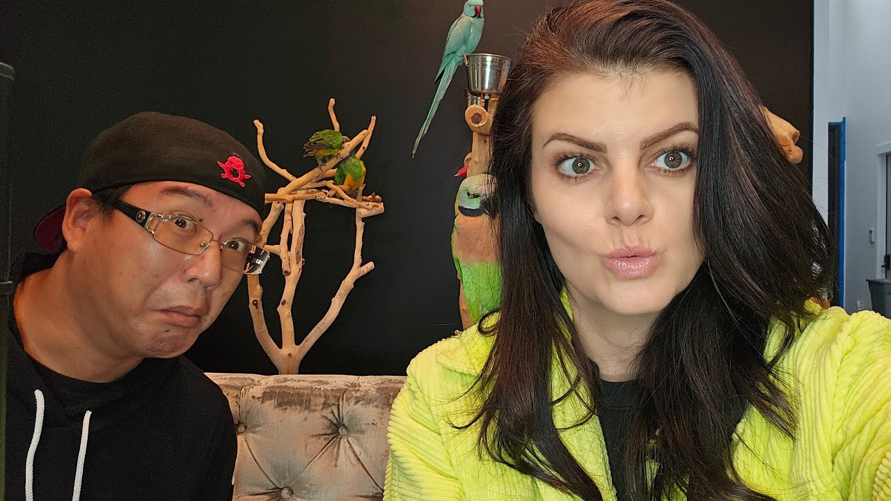 Come hang with the birds. Ask Tai what it's like to work with parrots for the first time!!