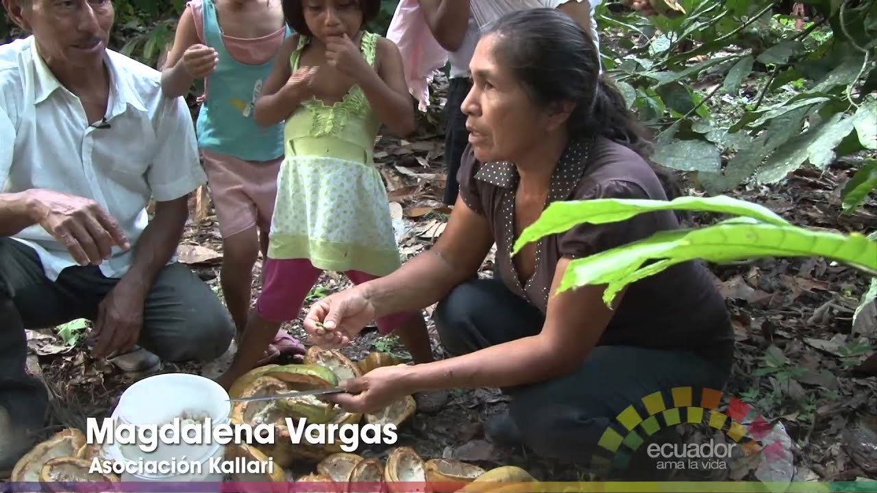AMA LA VIDA TV - Ecuador- 3ra temporada Programa 20 (Cacao)