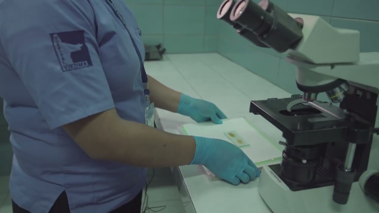 Método de Baermann   Strongyloides stercoralis   Laboratorio Hospital VIEDMA – Bolivia   T Sanabria