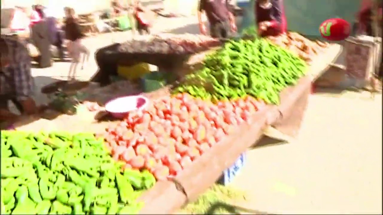Point Marché au marché Bouargoub - Mercredi 14 Octobre 2020