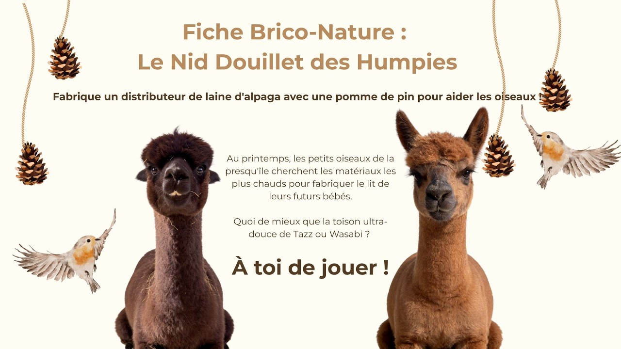 Fiche Brico-nature n°1 