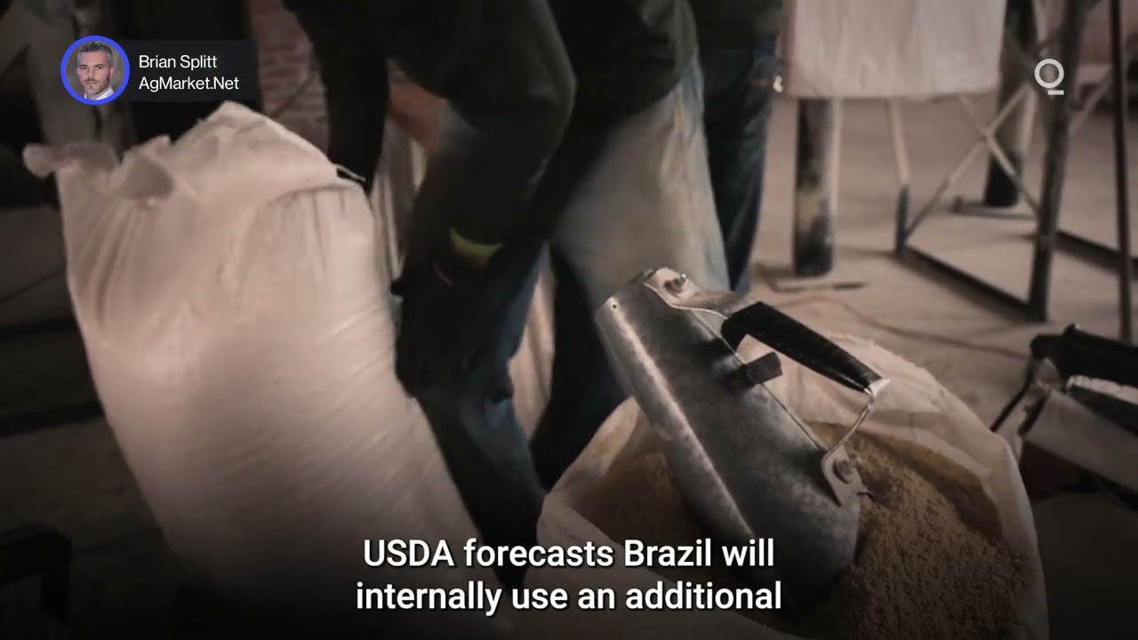 Will Brazil&rsquo;s Bumper Corn Crop Challenge US Exports? | Presented by CME Group