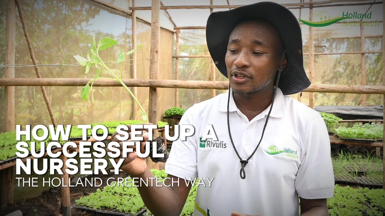 Setting Up A Successful Nursery. The Holland Greentech Way