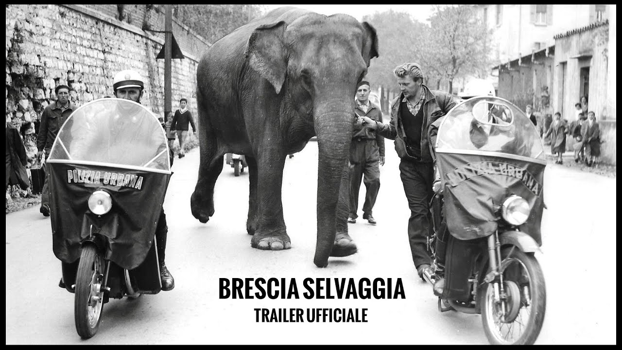 BRESCIA SELVAGGIA - Trailer Ufficiale