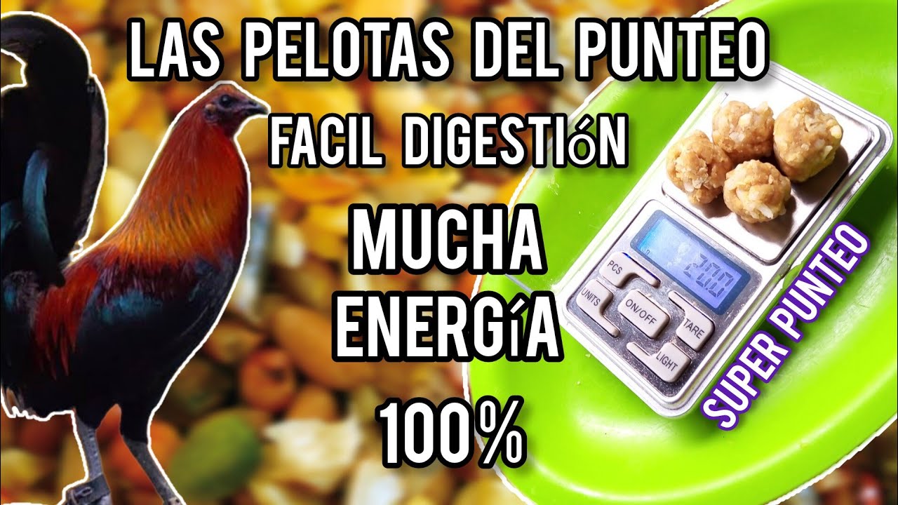 Punteo para gallos