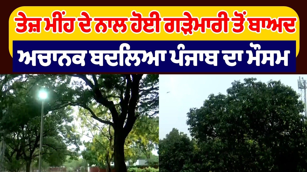 ਤੇਜ਼ ਮੀਂਹ ਦੇ ਨਾਲ ਹੋਈ ਗੜੇਮਾਰੀ ਤੋਂ ਬਾਅਦ ਅਚਾਨਕ ਬਦਲਿਆ ਪੰਜਾਬ ਦਾ ਮੌਸਮ