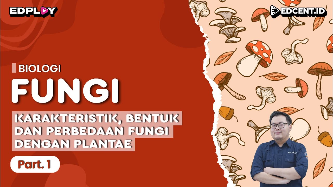 Materi Biologi: Fungi | Karakteristik, Bentuk & Perbedaan Fungi dengan Plantae | Part 1