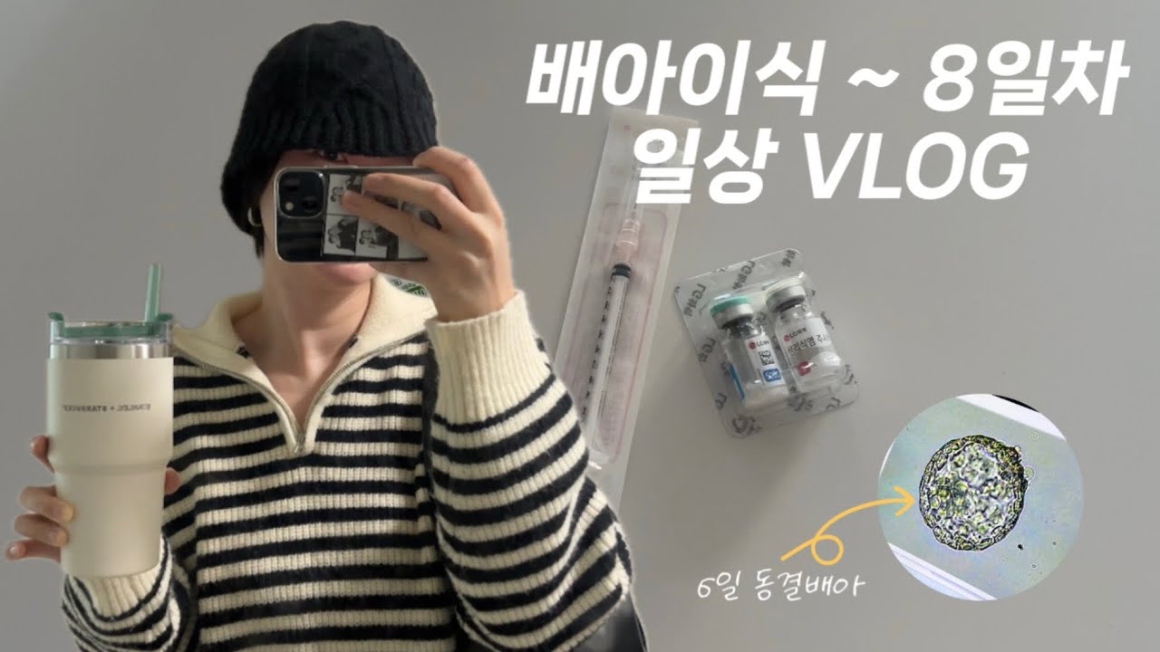 Vlog. 두번째 배아이식 후 일상생활ㅣ유산 후 재임신ㅣ시험관임신ㅣ동결배아이식