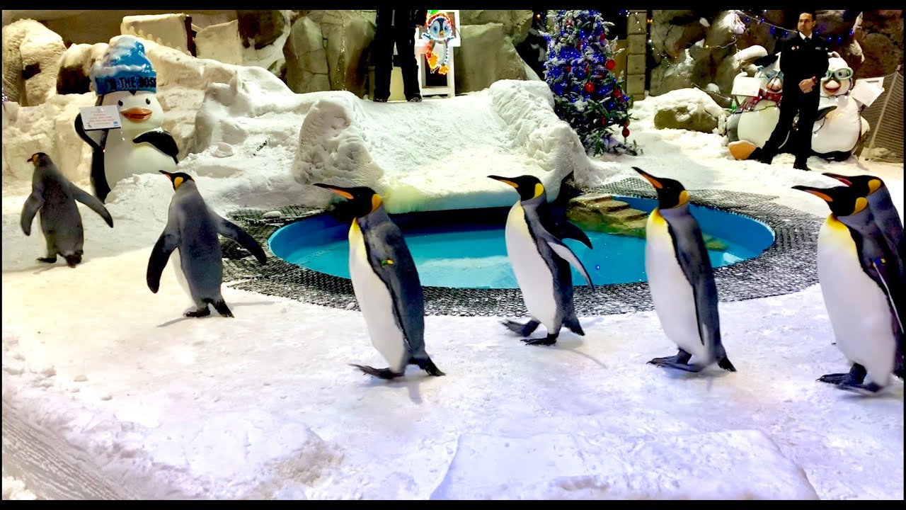 Ski Dubai || Mall Of The Emirates || Snow Park || Dubai Travel || Penguins