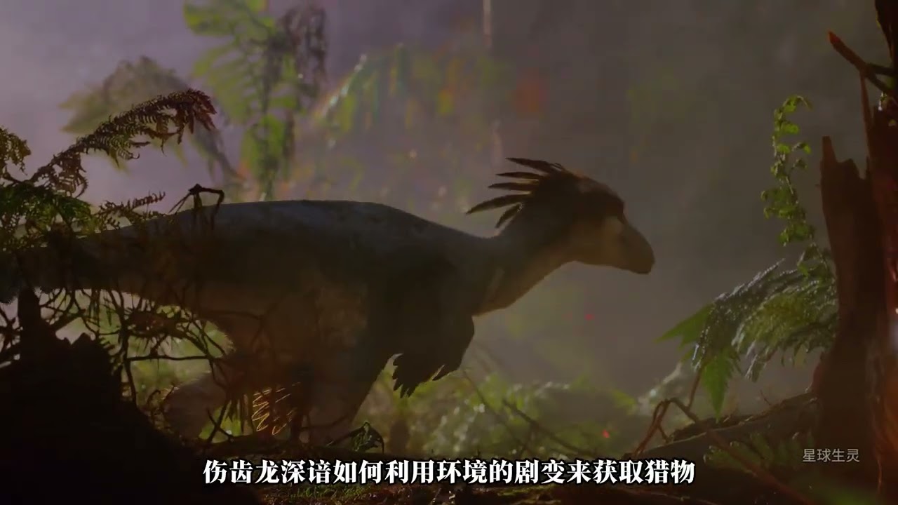 恐龙界最强大脑伤齿龙 恐龙世界 伤齿龙 史前生物 动物科普