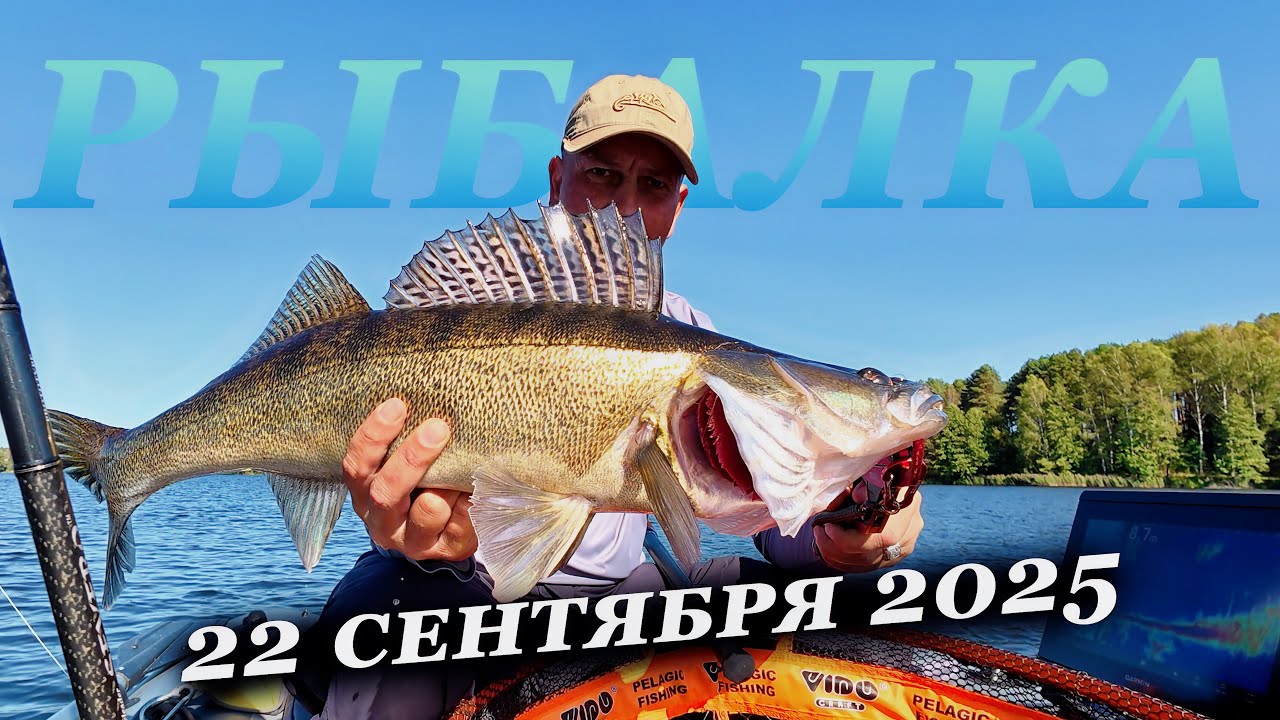 Толпы сытых СУДАКОВ! Кидай кидай, их тут много)))