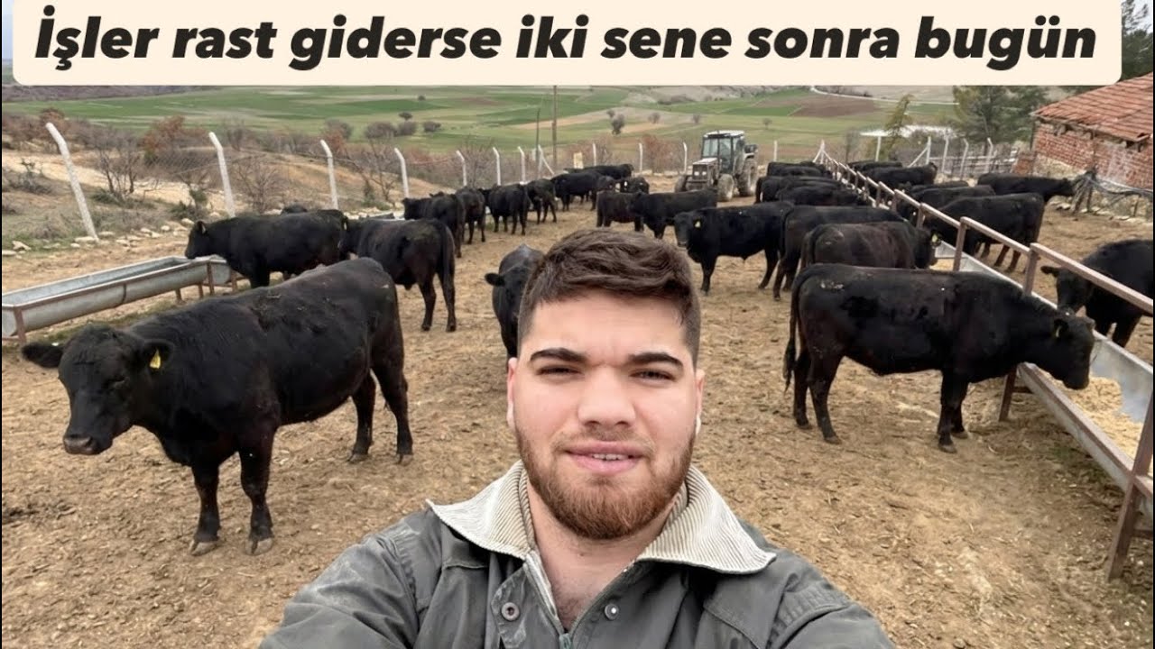 ÇİFTLİK YAPIM AŞAMASI - TEK ÇARE HAYVANCILIK