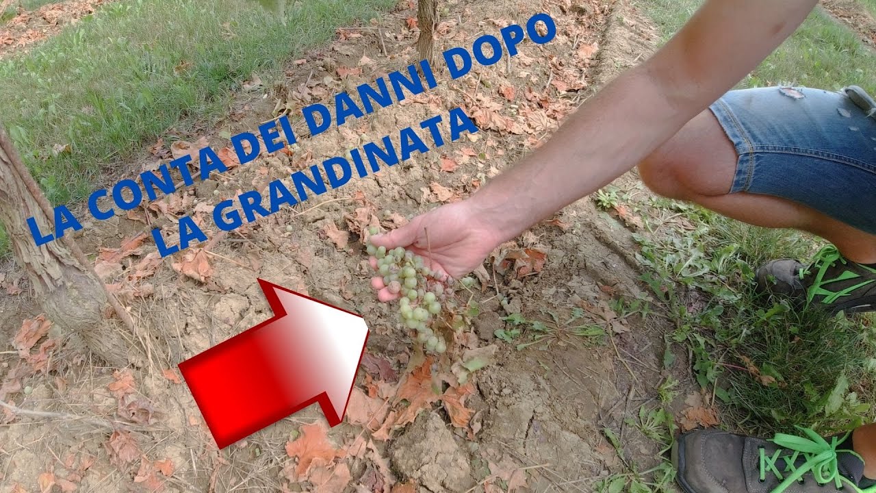 GRANDINATA - VALUTIAMO I DANNI