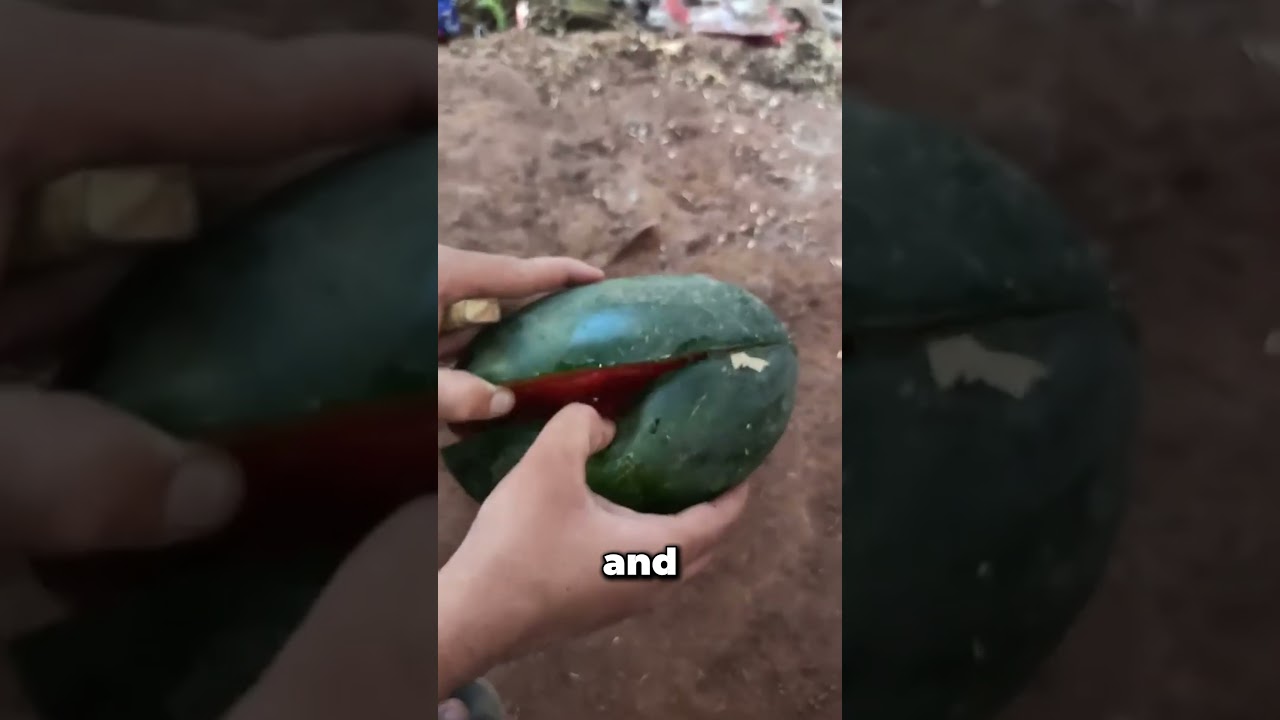 Why Did This Watermelon Explode?