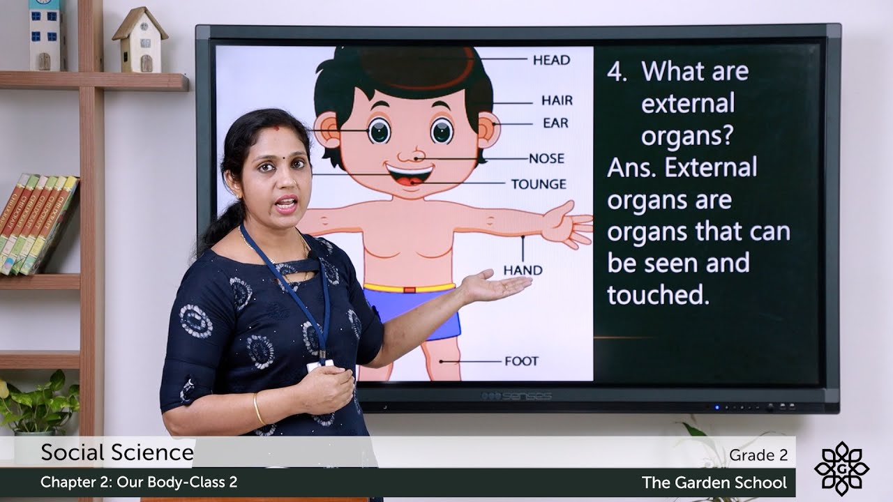Grade 2 Social Science Chapter 2 Class 2 My Body Exercise