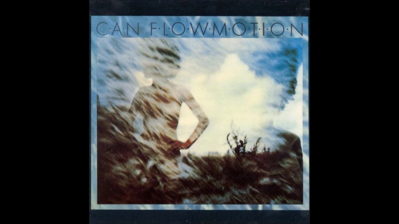 CAN &lrm;&ndash; SAW DELIGHT - ANIMAL WAVES - 1977
