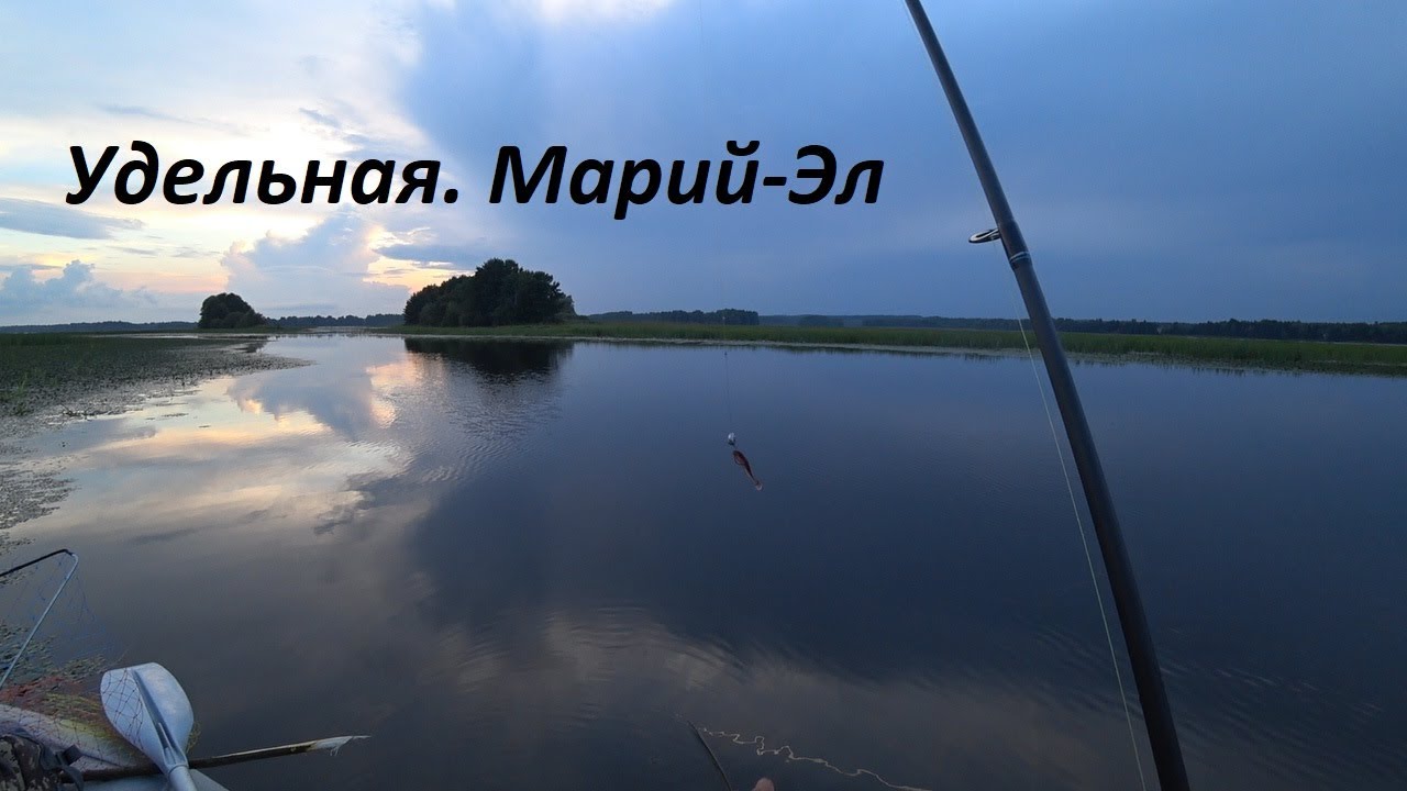 Рыбалка на хищника в заводях Волги. Спиннинг и кружки. Удельная. Марий-эл.