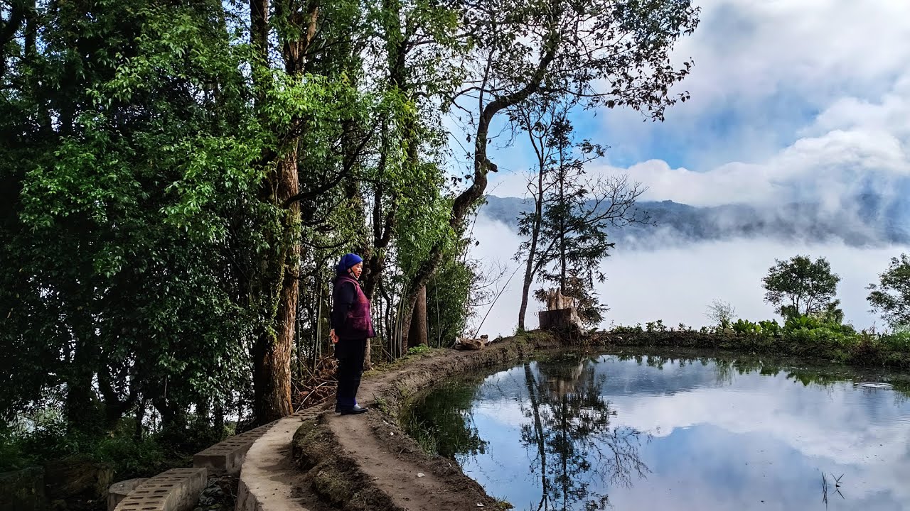 6天自駕玩轉元陽梯田（第3天）雲霧縹緲的古村落 6-day self-driving tour of Yuanyang Rice Terraces (Day 3)misty clouds