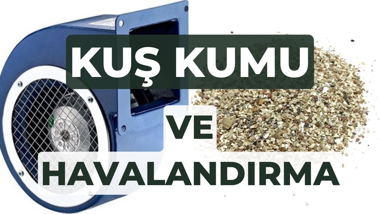 KUŞ KUMUNUN ÖNEMİ ve MUHABBET KUŞU ÜRETİMHANE HAVALANDIRMA