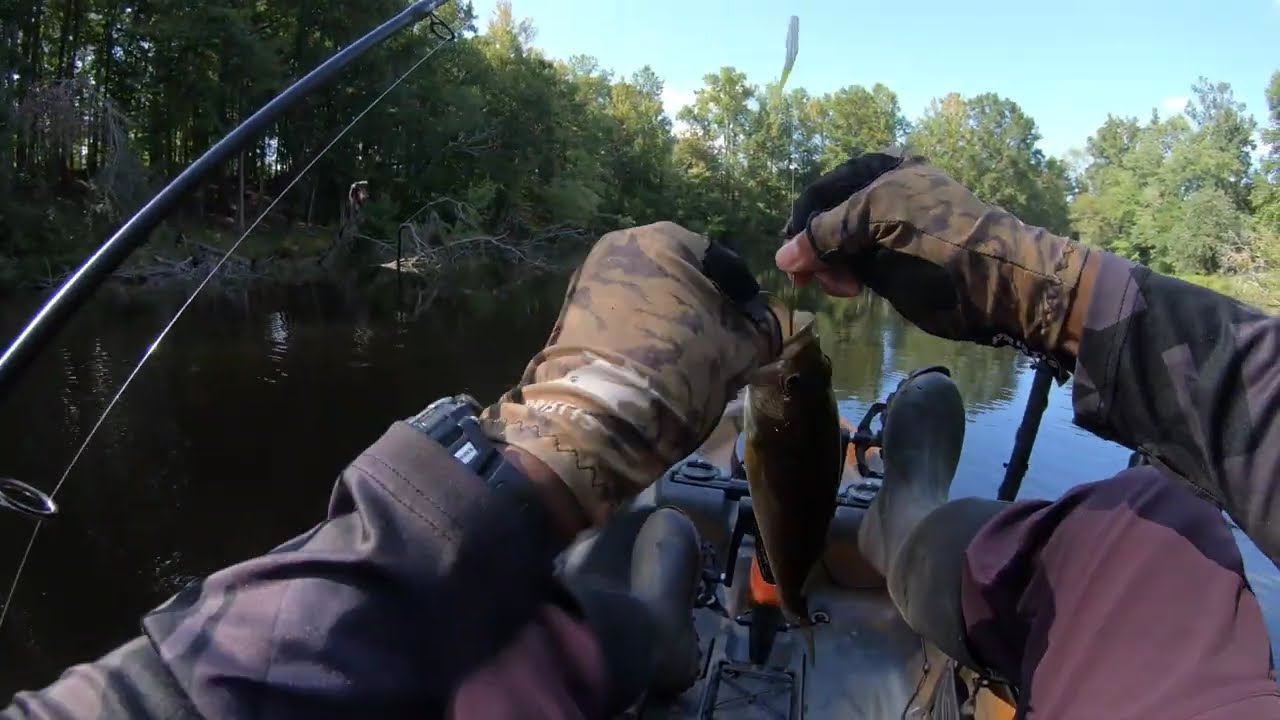 Reeling In Good Times