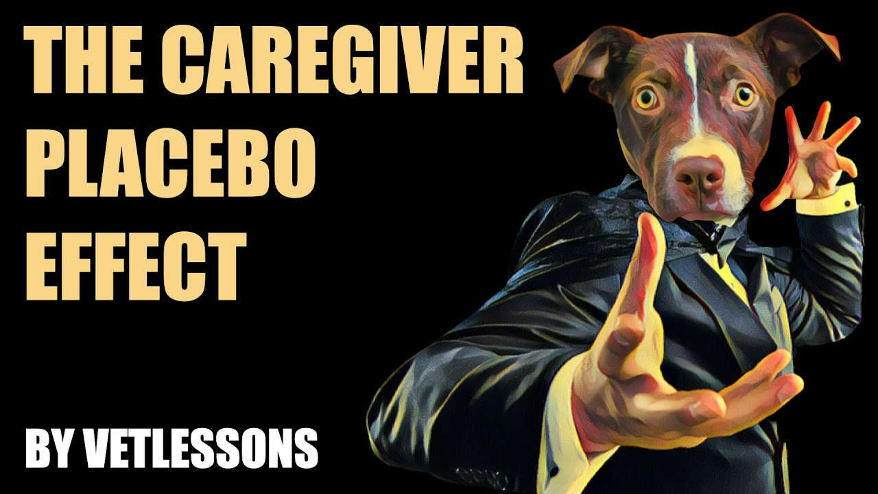 The placebo effect in canine arthritis management
