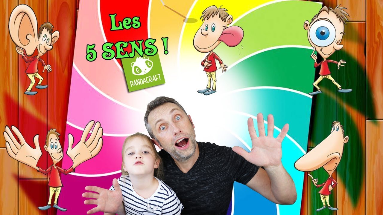 ODORAT, VUE, OUÏE, GOÛT, TOUCHÉ : On EXPLORE nos 5 SENS de l'HOMME grâce au kit PANDACRAFT !