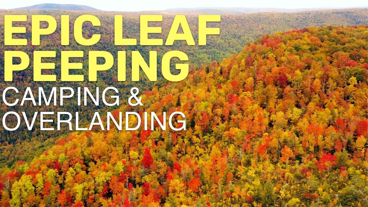 Peak Fall Foliage Teardrop Overland Camping in the Monongahela National Forest West Virginia 2022