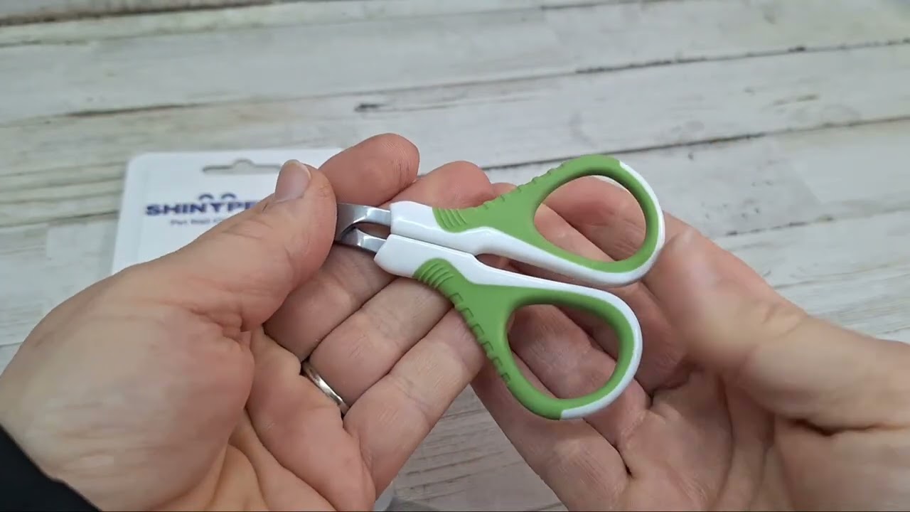 Безопасная стрижка когтей кошек и мелких домашних животных в домашних условиях ✂️ Простой и безбо...