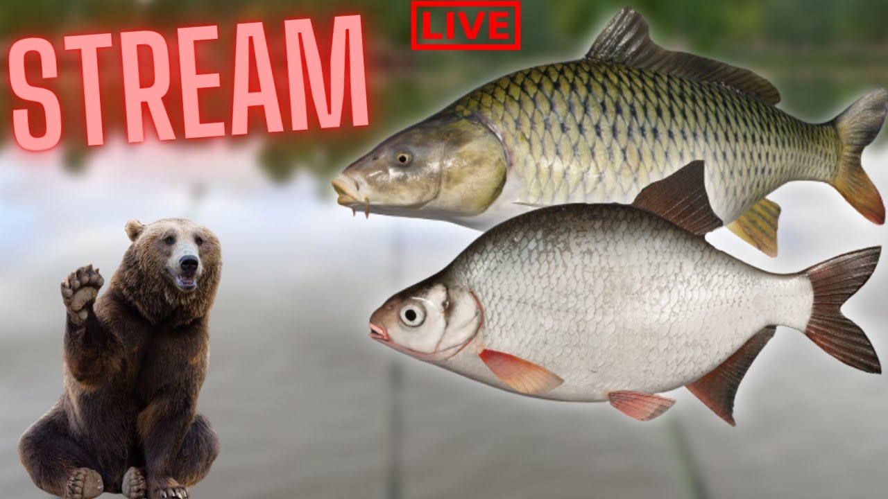Žvejojam ir kalbam! STREAM👑