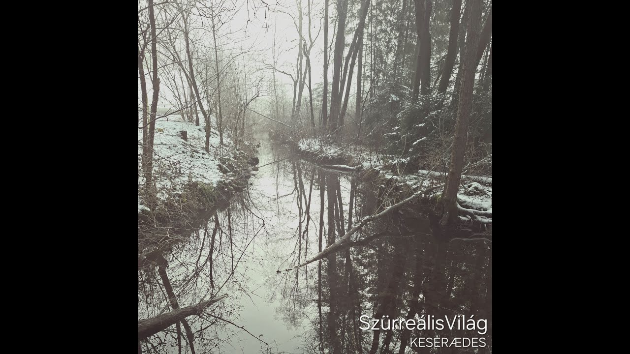 SzürreálisVilág